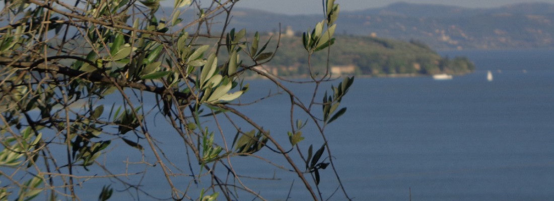 Lago trasimeno.JPG 8